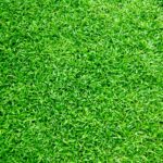 Close-Up Green Artificial Grass Flooring in Qatar