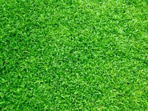 Close-Up Green Artificial Grass Flooring in Qatar