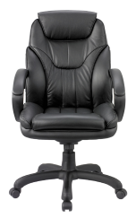 Leather Chair