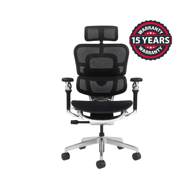 Ergonomic Office Chair: ECH-11451 