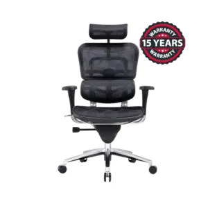 Ergohuman Office Chair - ECH-11026