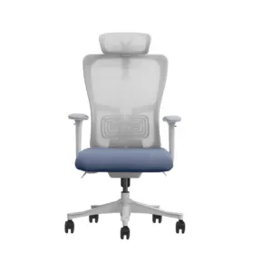 Ergonomic Mesh Office Chair