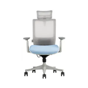 Ergonomic Mesh Office Chair With Headrest