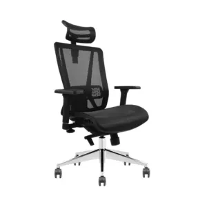 Ergonomic Office Chair - CH-11111